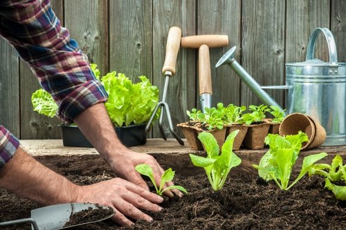 Volunteers and charity partners receiving reclaimed garden materials