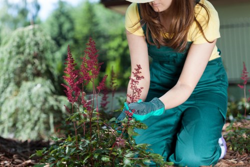 Gardening crew working safely on a residential garden with equipment