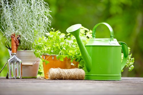 Healthy plants in a well-maintained Camberwell garden