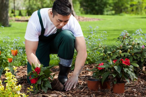 A gardener with dark hair, dressed in a white t-shirt and green overalls, is kneeling on the soil in a well-maintained garden in Camberwell. They are tending to a small bed of flowering plants, including vibrant red and orange blooms, with two potted plants nearby. The garden features lush green grass in the background, bordered by a low brick wall and mature trees providing shade. The scene is set on a bright, sunny day, with natural light illuminating the neatly arranged flower beds and the vibrant colours of the plants. This outdoor space showcases a combination of flowering plants, healthy grass, and leafy shrubs, reflecting attentive garden maintenance typical of professional services offered by Garden Maintenance Camberwell and supporting local landscaping efforts in the area.